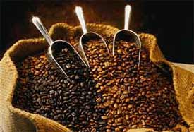 three scoops of coffee